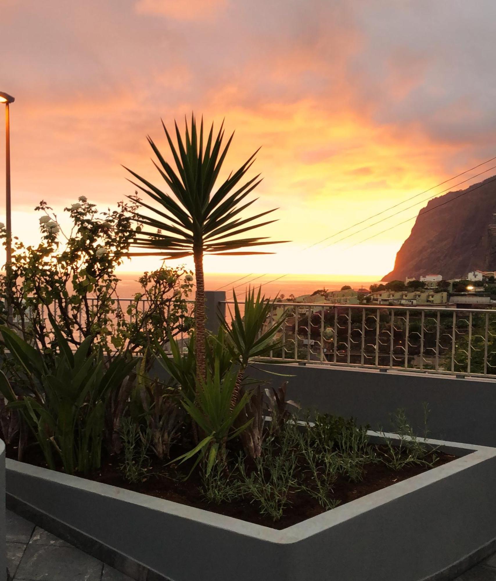 Oasis Suites - Funchal المظهر الخارجي الصورة